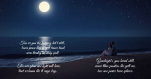 Heart Touching Good Night Quotes to Share Love, Peace